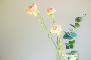 花、きっかけ